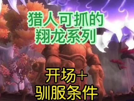 魔兽世界猎人可抓的翔龙🐲系列-开场+驯服条件-持续更新中#游戏精彩时刻 #魔兽世界 #特效 #一起玩游戏 #新手必看 #游戏日常 #怀旧游戏 #wow #实用 #经典游戏 #魔兽青春 #暴雪 #稀有 #攻略 #视觉震撼 #翔龙 #龙 #潘达利亚 #驯龙