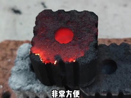 这炭我兄弟买得起吗?#科普 #炭