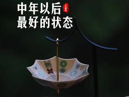 中年以后最好的状态,就是销声匿迹,半隐半藏,除了赚钱和日常生活以外,不需要太多的社交和喧闹。就像杨绛先生说,终不是那八面玲珑的人,讨不得四海八荒的之喜,只落得围一炉寂静的烟火,与独处相安,与万事言和,止语,止念,止心;是修行,是通透,是归途…#情感共鸣#生活感悟#茶生活#治愈系