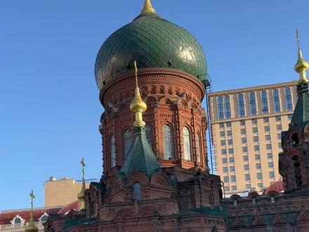 哈尔滨太适合Citywalk了,逛吃逛吃超放松#旅行推荐官