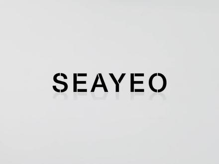 SEAYEO大排灯Pro视频教程