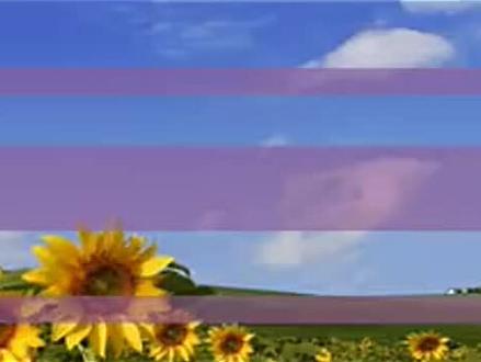 人美版小学六年级美术上册_《家乡的小吃》部级优课-宋老师公开课优质课视频获奖课件