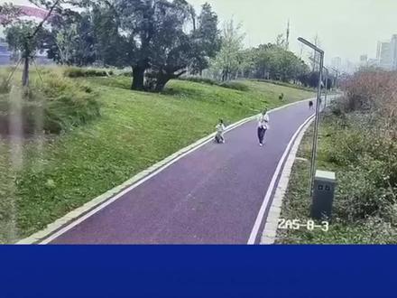 11月17日上午,江西省赣州市一位年轻妈妈带女儿在公园散步,遭到四条没拴狗绳的大型犬围攻。#警方通报辖区内一公园犬只伤人 #母女逛公园被烈性犬撕咬围攻