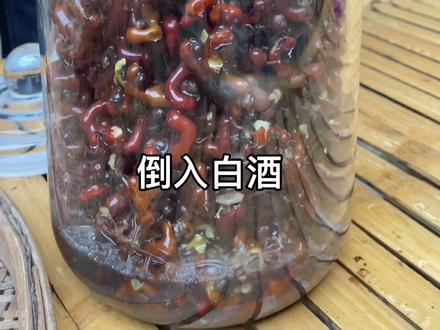 其貌不扬的拐枣又叫万寿果它的价值可不一般,每年成熟的时候村民都会采些泡酒#我的乡村生活 #拐枣酒