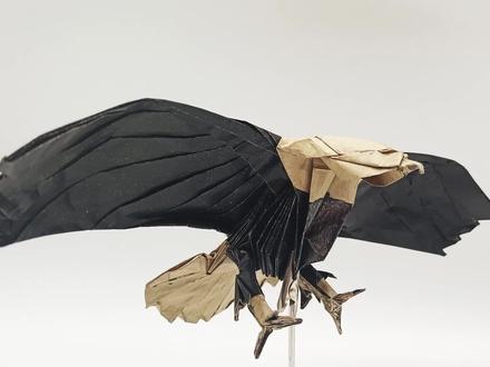 折一只美国国鸟-白头海雕(第一部分) #折纸 #手工diy