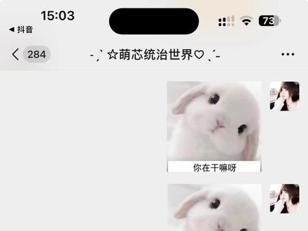 我只有你这一个兔兔呀#兔兔表情包@十一芯