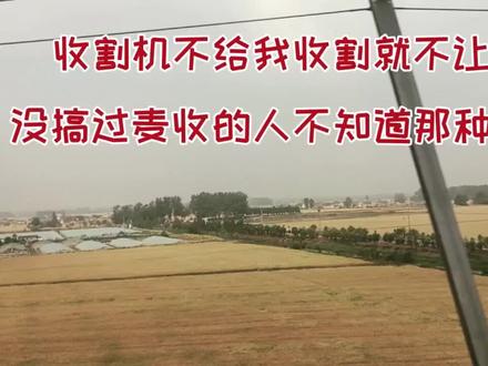 收割机不给我收割不让走,没搞个麦收的人不知道那种绝望。 #盐城 #麦收 #收麦 #收割机 #姚哥跑火车