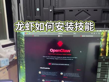 openclaw如何安装skills