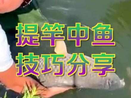 为什么同样的浮漂动作,别人提竿中鱼,你却不能?#dou是钓鱼人 #野钓 #户外钓鱼 #新手钓鱼 #休闲野钓 #钓鱼技巧 @DOU+小助手