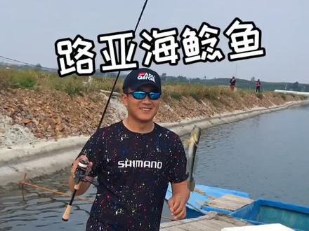 #海钓 休闲路亚海鲶鱼