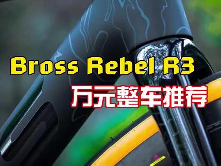 大牌欠缺的是性价比,国产品牌欠缺的是细节,这才是我选择Bross的真正原因#公路车 #单车推荐 #骑帅不骑快 #骑行 #爱生活爱骑行