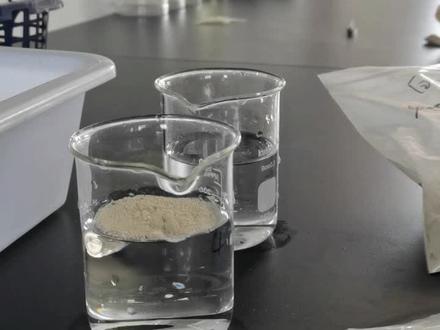 球孢白僵菌1000亿/克孢子粉(有效活菌数计数)、白僵菌可湿性粉400亿/克菌粉溶解性展示,都是公司白僵最高含量级别。#固态发酵 #白僵菌 #球孢白僵菌#微生物杀虫剂