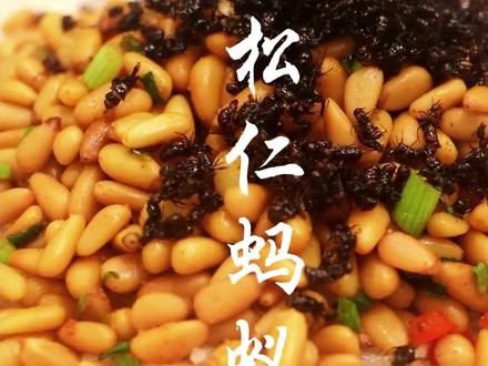 这个蚂蚁是真香啊!#松仁蚂蚁 #抖音美食推荐官 #杭州美食