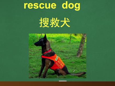 有爱心~@傻瓜英语 @抖音小助手 #零基础学英语 #萌知计划