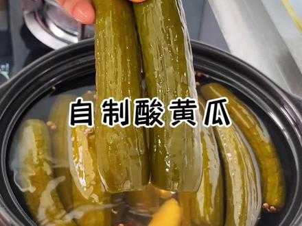 只要泡一晚就能吃上酸爽开胃的酸黄瓜,做法简单又美 味#泡菜 #自制酸黄瓜 #腌酸菜 #开胃菜 #家常菜