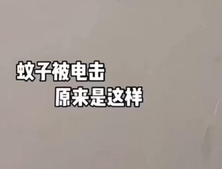 蚊子被电击后….#电击蚊子 #我想要占据你 (原创:@乖巧小刘 )