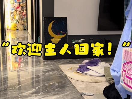 开门自动亮灯,小爱欢迎语如何设置?又是一个有手就行的教程!#智能家居 #全屋智能 #装修干货