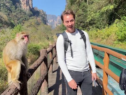带着荷兰家人来张家界了!
因为是阿凡达的取景地,所以我们一直对这里非常的好奇!
完全没有失望,非常美丽的地方!
张家界真的名不虚传!
哈哈哈张家界的猴子也名不虚传,真的非常大胆不怕人🤪
#insta360 #总要来趟张家界吧#感受大自然的气息和美景 #抖音玩乐攻略 #老外在中国