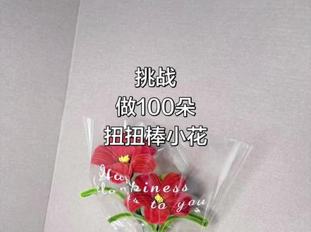 🌸零基础扭扭棒芙蓉花教程|温柔氛围感花束,手残党也能一次成功
#diy手工作品 #扭扭棒 #扭扭棒教程 #手工diy #diy手工