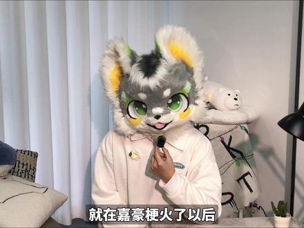 努力的人不该被“嘉豪梗”嘲笑#吐槽 #努力 #福瑞 #嘉豪 #furry