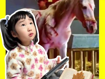 战马飞飞的英雄事迹,你都知道吗? #战马飞飞#科普#冷知识#涨知识#亲子育儿
