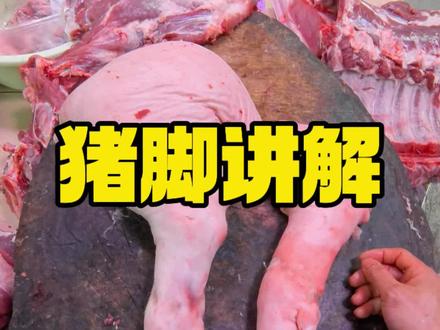 猪脚分割讲解,如何区分前脚和后脚?#猪肉 #前脚后脚 #猪肉分割