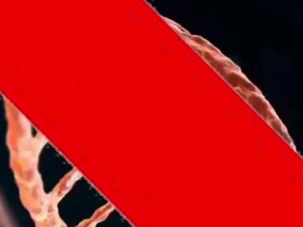 骡子有公母之分,为什么不能生育后代?骡子怀孕真的必死无疑吗?#涨知识#科普 #骡子