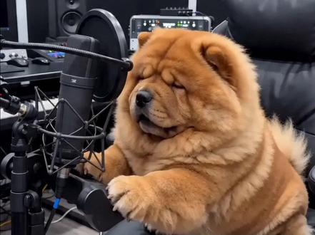 新歌《全家人都欠我的》 李荣浩老师对不起!!!#李荣浩 #翻唱 #