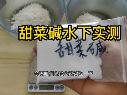 甜菜碱在制作窝料中有没有效果?今天拿它单独测试了一下,结果惊呆了! #探索鱼饵 #水下实测 #甜菜碱