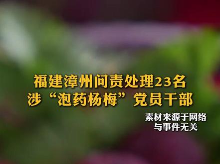 福建漳州问责处理23名涉“泡药杨梅”党员干部