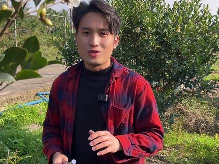 山柚油都有哪些妙用? 一起聊一聊#海南山柚油#油茶