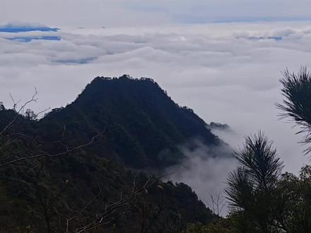 磨心尖白石尖环线,多个原始千米山峰环穿。
类似桐庐龙脊线,衢州豹C线,黄山松苍翠挺拔,一日环穿在云里雾里。