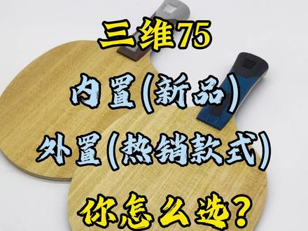 三维75又推新款内置外置侧重不同好打不贵值得入手#乒乓球