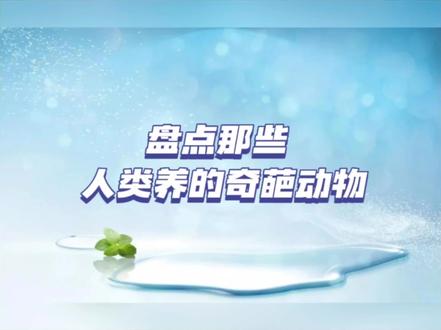 盘点那些人类养的奇葩动物#奇葩 #动物