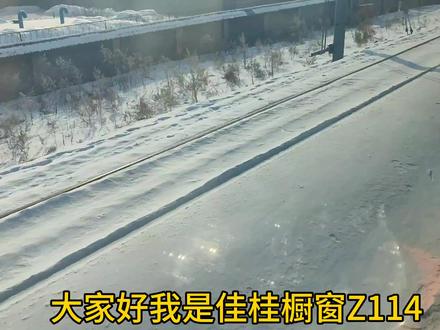 Z114哈尔滨西~海口看沿途大站随拍一路向南#火车视频 #坐火车 #拍摄火车视频的爱好者 #旅途 #一路向南