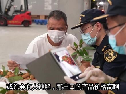 咱就不配吃口好的吗?出口的规规矩矩,内销的科技狠活! #热点 #漳州杨梅 #杨梅泡药