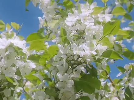 21世纪进入了夏天#21世纪 #盛夏#新年快乐#2026