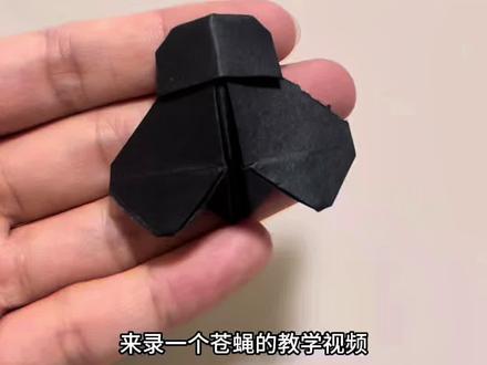 苍蝇的折纸教学视频来啦~#折纸 #苍蝇 #简单易学的折纸教程 也是从@折纸的喵~ 这学到真东西啦!