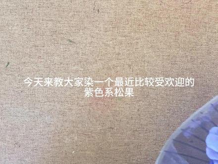 紫色松果丙烯颜料上色教程 #松果上色最佳颜料 #手工