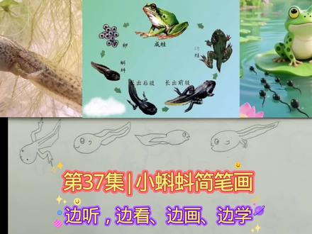 第37集|蝌蚪简笔画,学画可爱小蝌蚪 #简笔画 #简笔画教程 #真实生活分享计划#小蝌蚪#青蛙 #有趣的知识又增长了