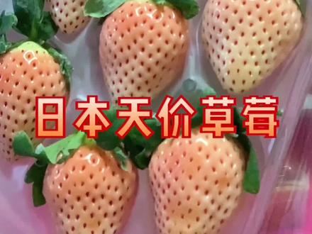 贵族草莓🍓我也不配啊😒#抖音小助手 #生活vlog