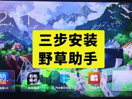 三步搞定野草助手安装#机顶盒刷机 #电视 #实用小技巧