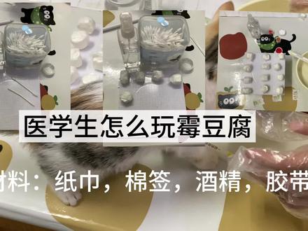 #医学生发疯日常 #创作者中心 #创作灵感 #霉豆腐怎么长这样 #谁还没个隐藏技能 当医学生想要玩霉豆腐时⋯⋯