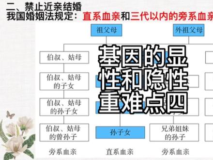 画重点‖基因的显性和隐性重难点四:什么是近亲结婚?哪些人结婚属于近亲结婚? #初中生物 #近亲结婚 #直系血亲 #每天跟我涨知识 #知识分享