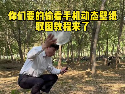 我终于设置好了#动态壁纸 #学会了快去试试吧 #熊非熊偷看手机动态壁纸 #送你一张动态壁纸 动态壁纸教程