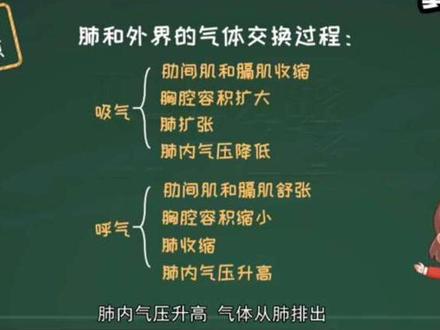 七年级下册生物,肺内气体交换