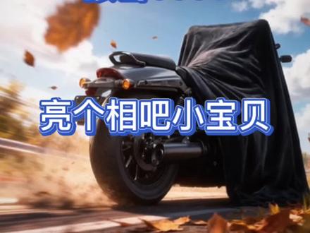 张雪600V,亮个相吧小宝贝
#摩托车 #机车 #张雪机车 #张雪600v #复古巡航