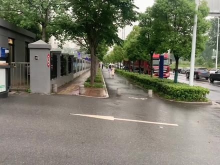 实拍网红疯狂小杨哥在合肥的公司!员工真多!门口停满了车辆! #合肥高新区 #疯狂小杨哥 #三只羊网络