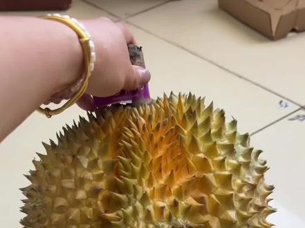 在与辉同行买的榴莲 昨天让网友帮我看看熟没熟 都说我榴莲是生包 死包的网友们 快来看 我开榴莲了 6房肉#与辉同行#榴莲