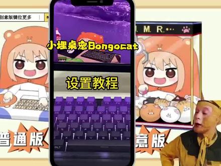 《小贺宝藏》全网爆火的小埋桌宠Bongocat设置教程来了#小埋桌宠#小埋桌宠安装教程#桌宠电脑版#桌宠怎么弄